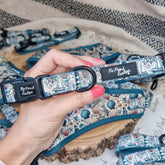 Shipwrecked Nautical Dog Collar